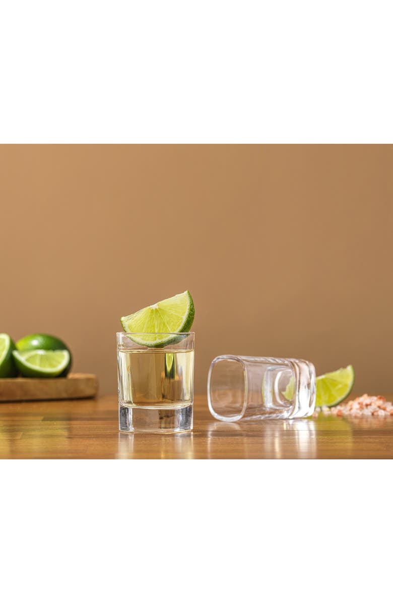 JoyJolt City Set of 10 Heavy Base Shot Glasses, Alternate, color, Clear