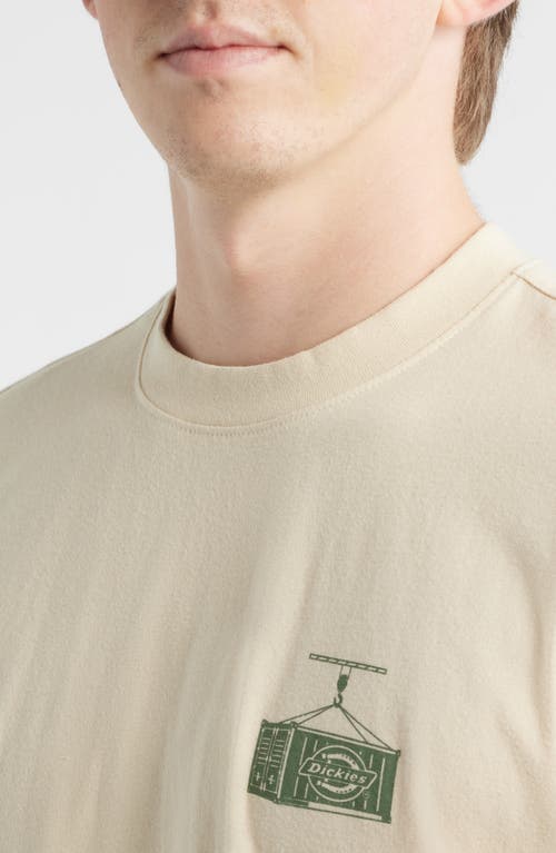 Dickies Apison Cotton Graphic T-shirt In Neutral