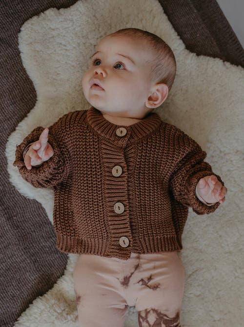 The Simple Folk The Chunky Cardigan In Rust