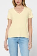 The Standard Stitch The Organic Cotton V-Neck Tee