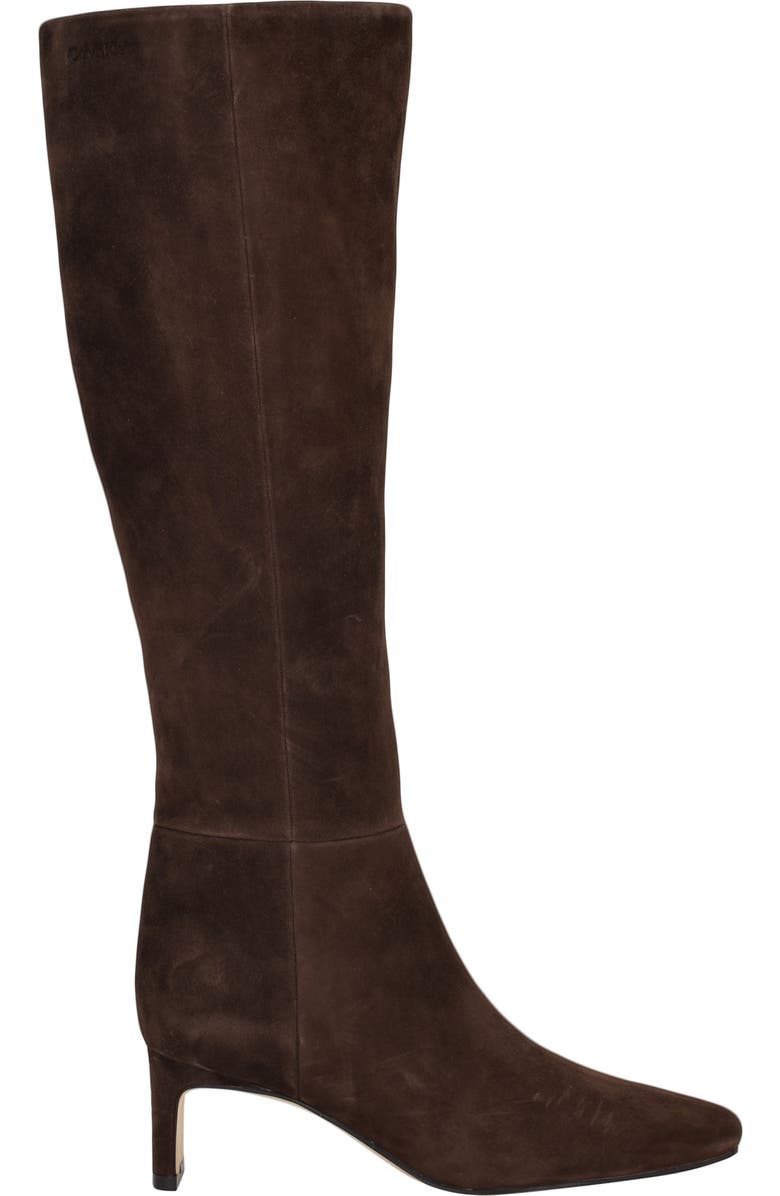 Calvin Klein Caterine Knee High Boot, Alternate, color, Brown Suede