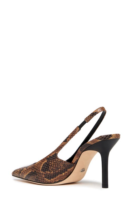 Paige Sienna Slingback Pointed Toe Pump In Brown
