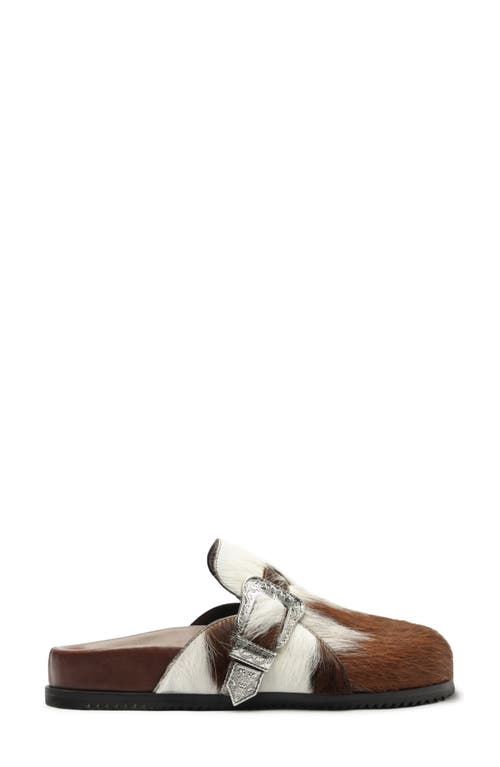 Schutz Grace Buckle Genuine Calf Hair Clog In Brown