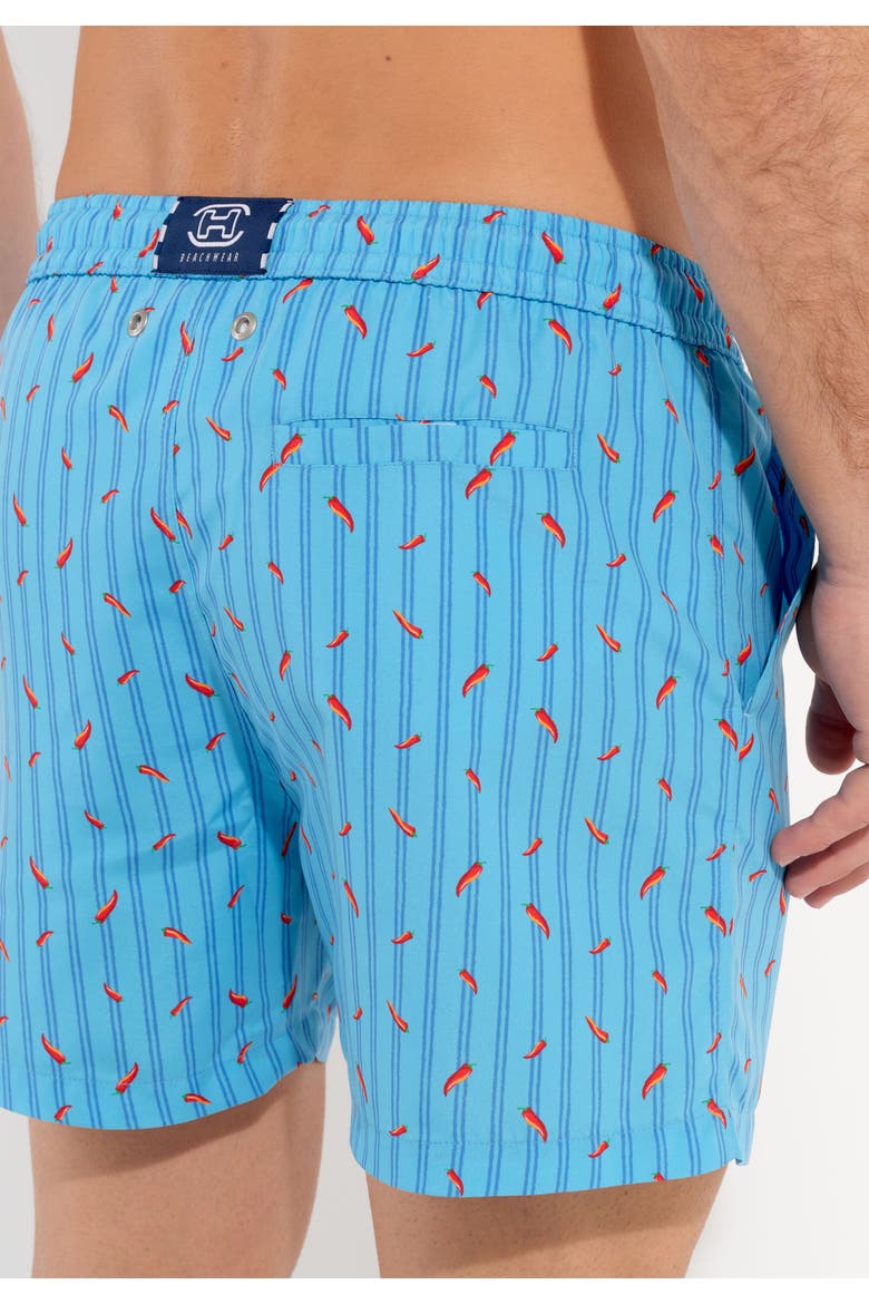 Espelette Beach Boxer, Alternate, color, Turquoise Print