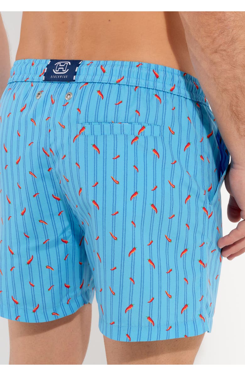 HOM Espelette Beach Boxer, Alternate, color, Turquoise Print