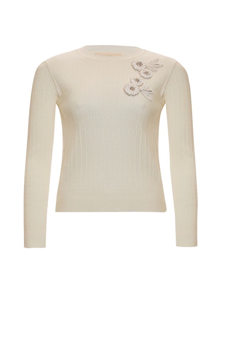 Ryann Embroidered Knit Blouse, Alternate, color, ECRU