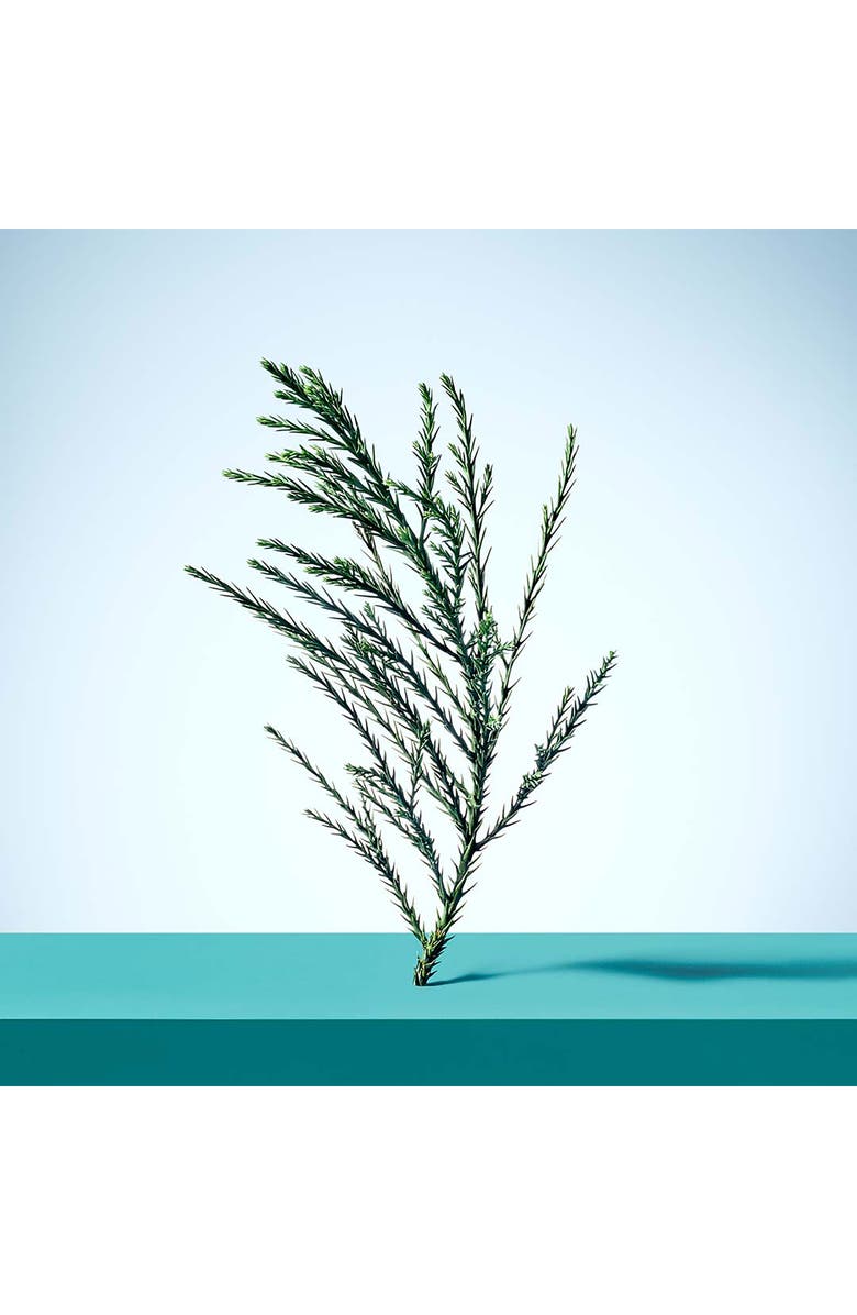 Tiffany & Co. Tiffany & Love Women's Gift Set, Alternate, color, 