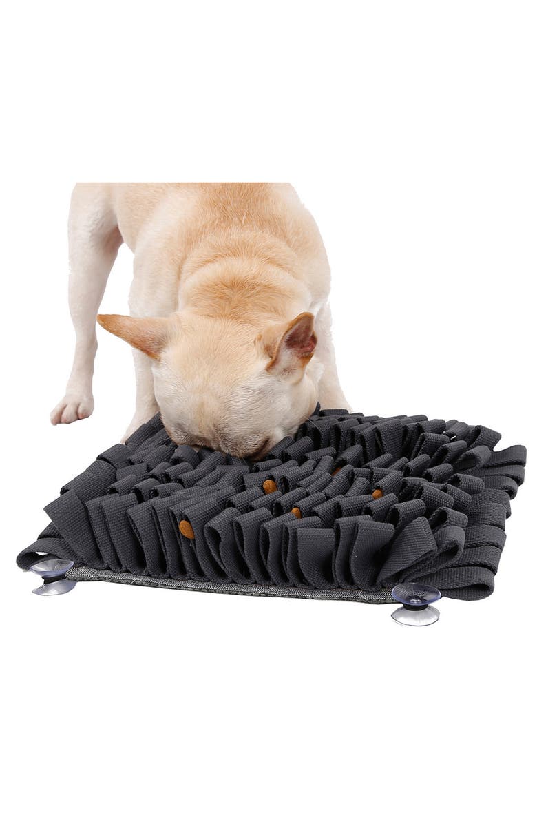 PET LIFE 'Sniffer Grip' Interactive Anti-Skid Pet Snuffle Mat, Alternate, color, 