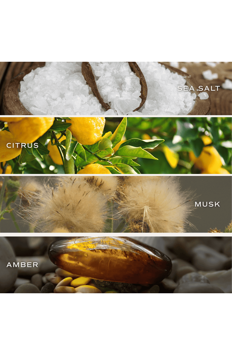 SWEET WATER DECOR 15 oz Wedding  and Engagement Candles, Alternate, color, Something Blue