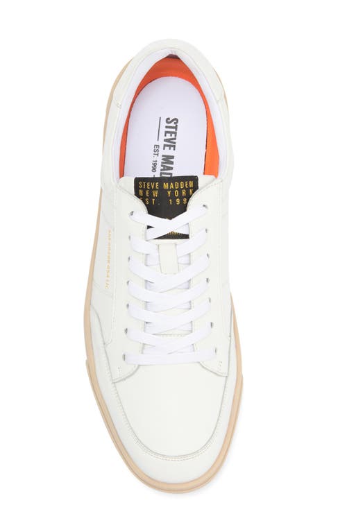 Shop Steve Madden Nyan Leather Sneaker In White/white