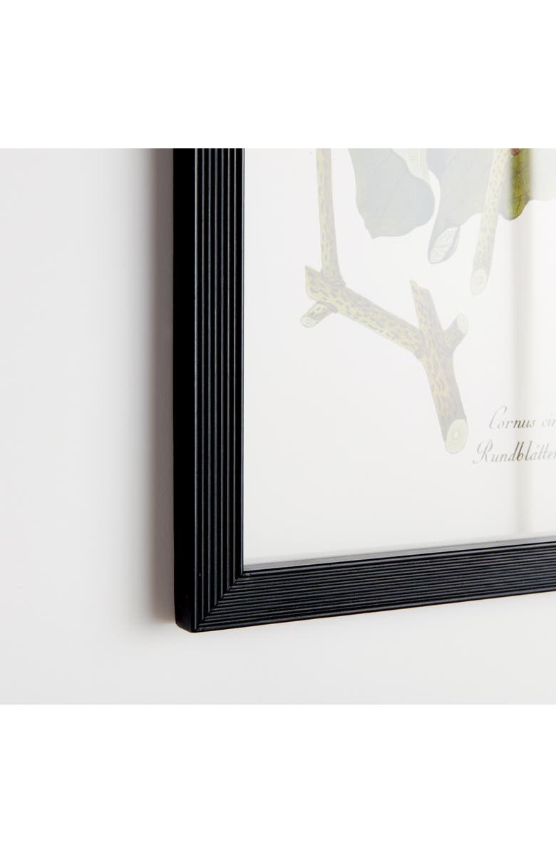 Napa Home & Garden 17.75"W x 0.75"D x 23.5"H Floral And Berry Study Framed Wall Art Frame Set of 4, Alternate, color, Black