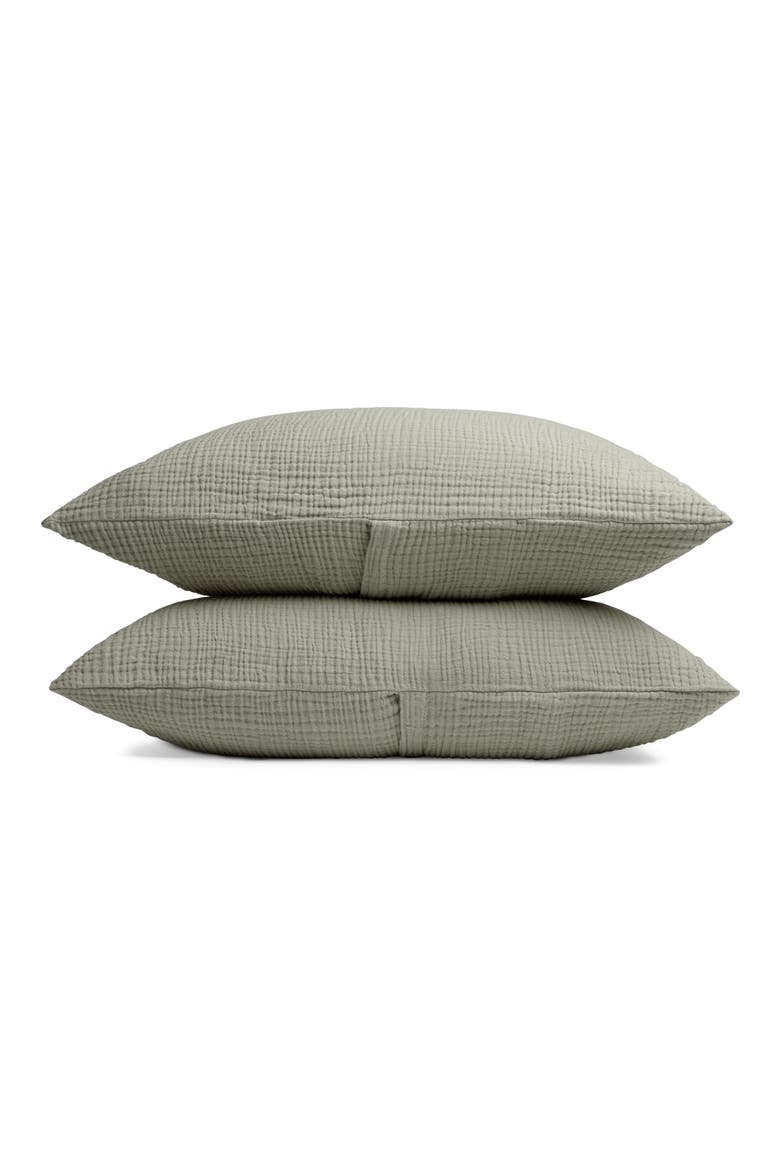 Cloud Cotton Sham Set, Main, color, MOSS