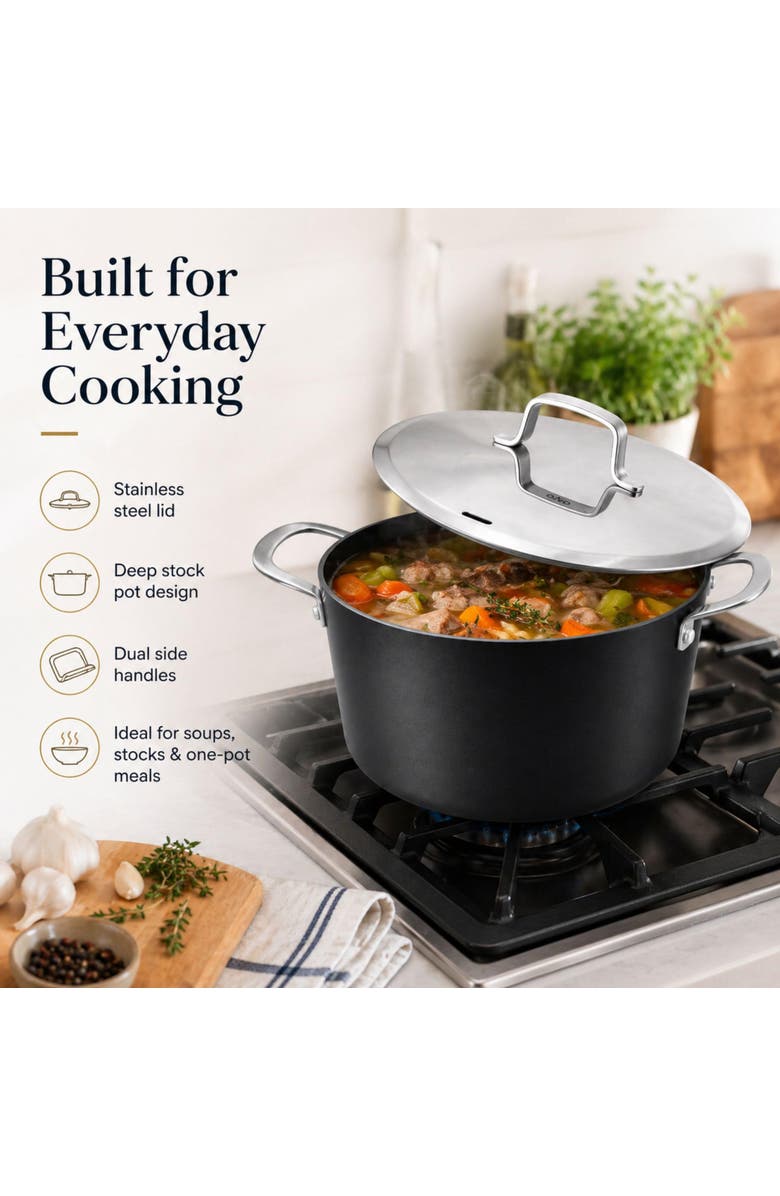 Alva Maestro Nonstick Stock Pot with Lid, Alternate, color, Black