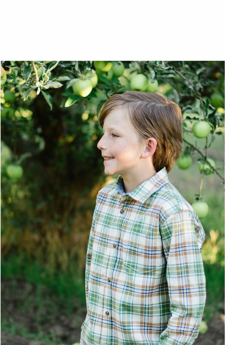 Hope & Henry Baby Boys' Organic Flannel Shirt, Infant, Alternate, color, Camel And Green Plaid