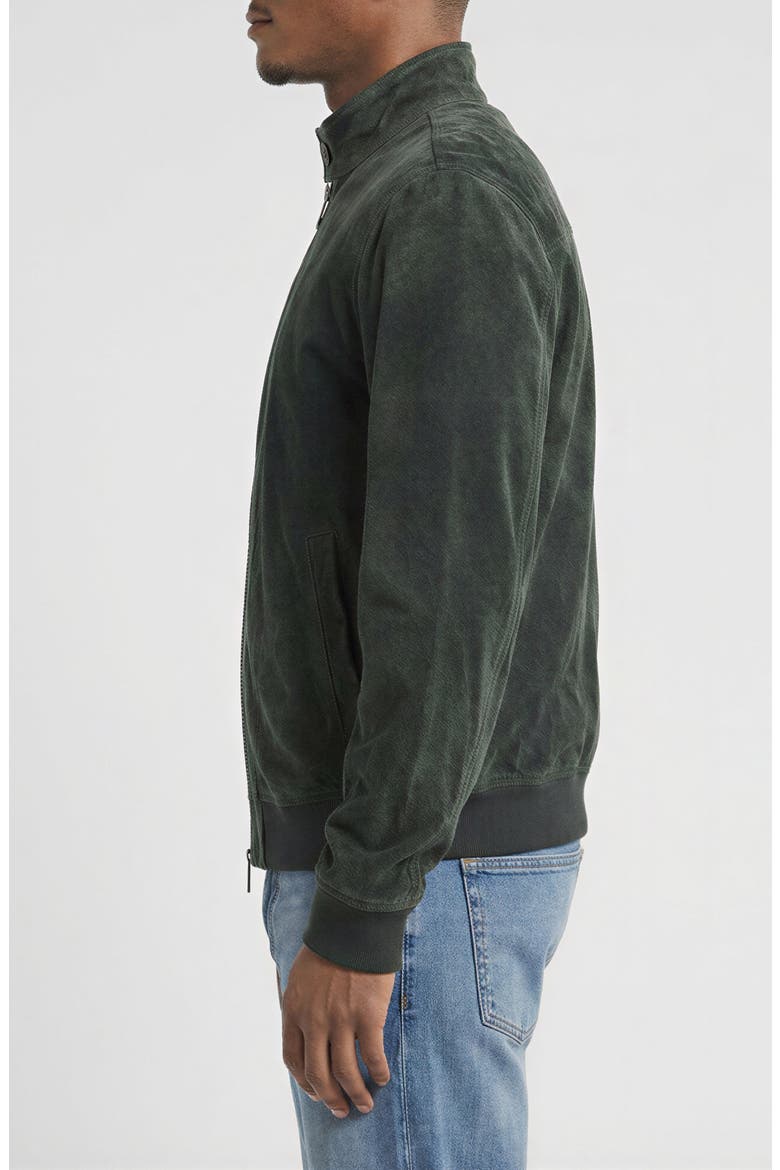 Genuine Suede Harrington Jacket, Alternate, color, BOTTLE GREEN