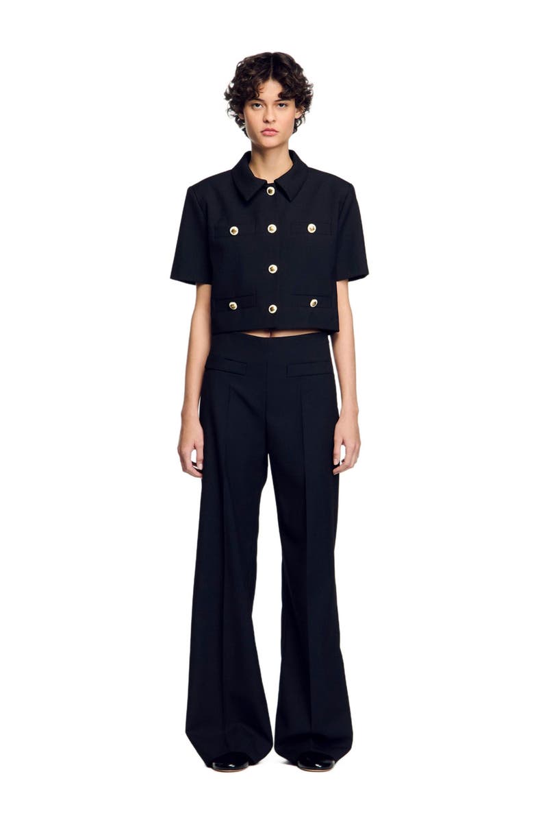 SANDRO Suit trousers, Alternate, color, Black