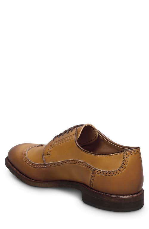Allen Edmonds Winston Wingtip Derby In Brown