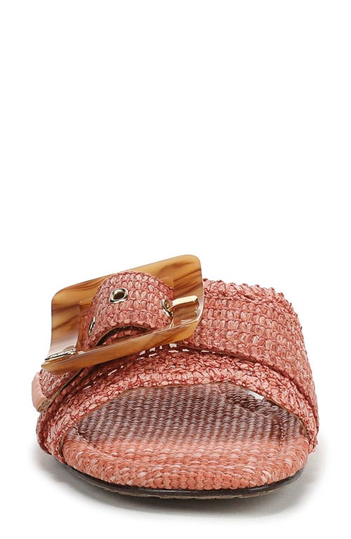 Sam Edelman Bambi Raffia Buckle Slide Sandal In Brown