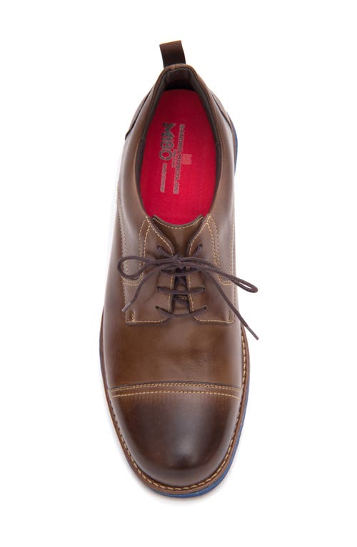 Sandro Moscoloni Jared Straight Tip Blucher Oxford In Brown