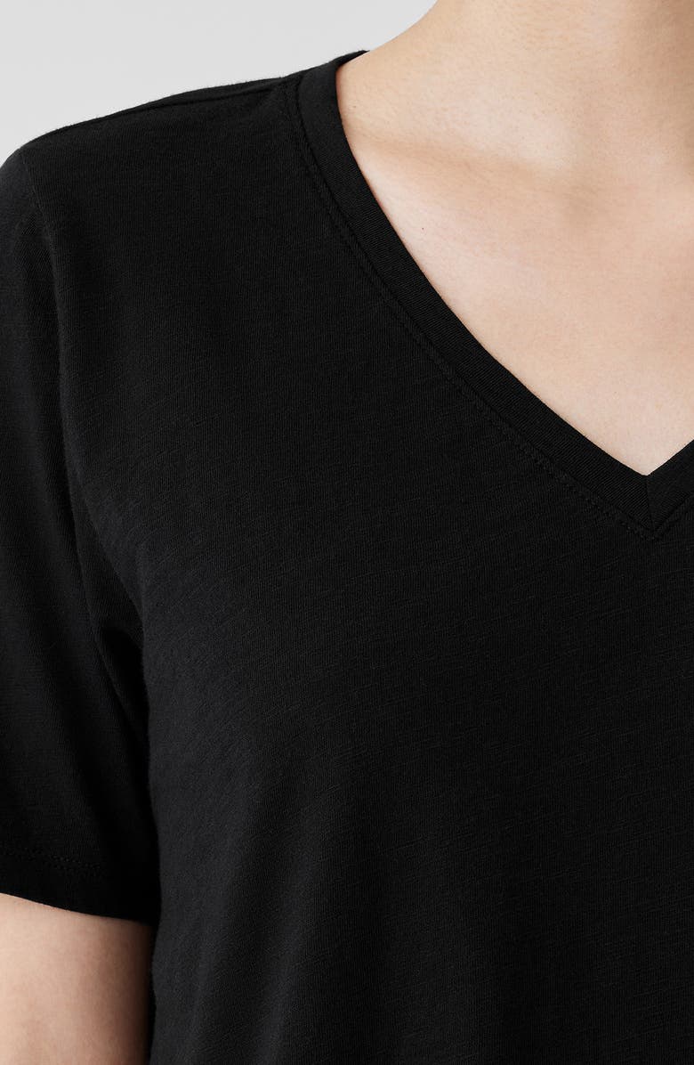 Eileen Fisher Easy V-Neck Slub T-Shirt, Alternate, color, 
