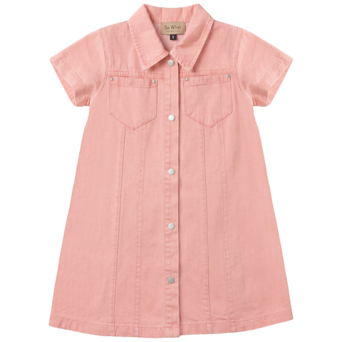 Embroidered Snap Front Patch Pocket Denim Dress (Toddler, Little Kid & Big Kid)