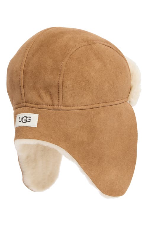 Ugg ® Genuine Shearling Trapper Hat In Chestnut