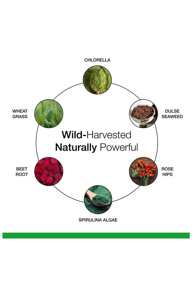 SuperFood Plus Supplement for Overall Wellness, Metabolism and Daily Energy Support, Gluten-Free, Dairy-Free, Alternate, color, Brown