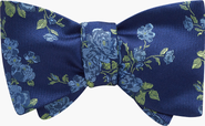 Beau Ties of Vermont Liviana Bow Tie