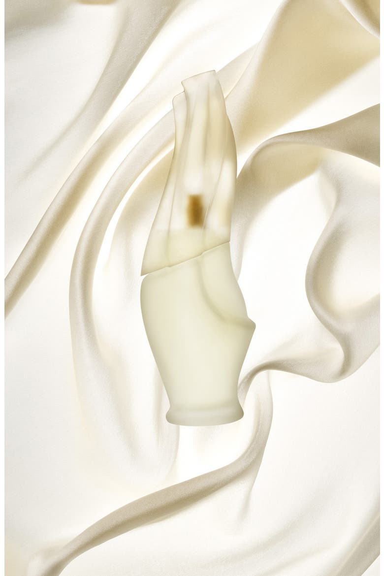 Donna Karan Cashmere Mist Eau de Toilette Spray, Alternate, color, NO COLOR