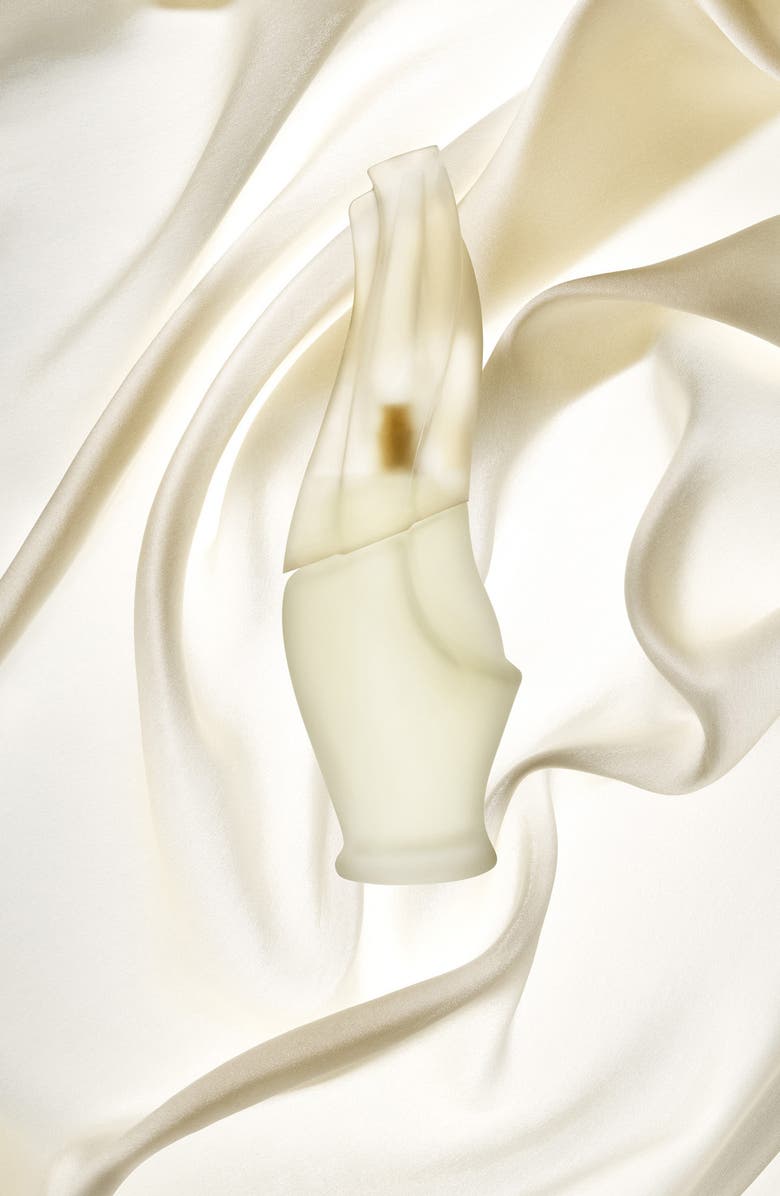 Donna Karan New York Donna Karan Cashmere Mist Eau de Toilette Spray, Alternate, color, 