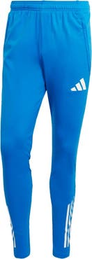 adidas Men's adidas  Blue Real Madrid 2025/26 Training Pants