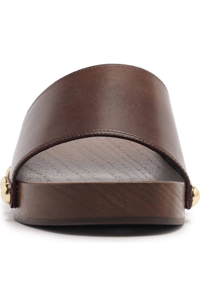 Schutz Shayla Slide Sandal, Alternate, color, Chestnut