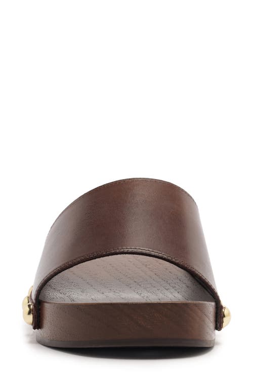 Schutz Shayla Slide Sandal In Brown