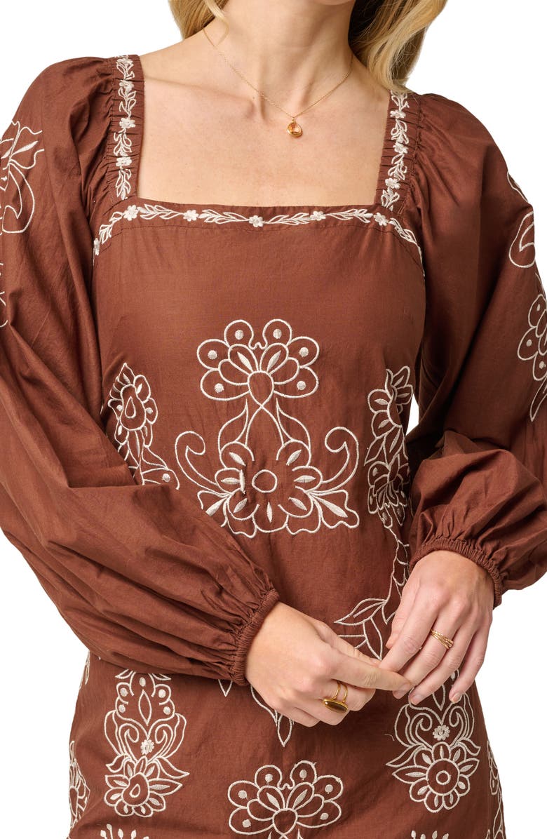 Adrianna Papell Embroidered Long Sleeve Minidress, Alternate, color, Chocolate/ Ecru