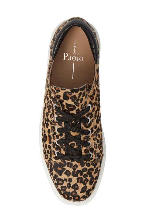 Shop Linea Paolo Kendra Platform Sneaker In Leopard Print Calf Hair