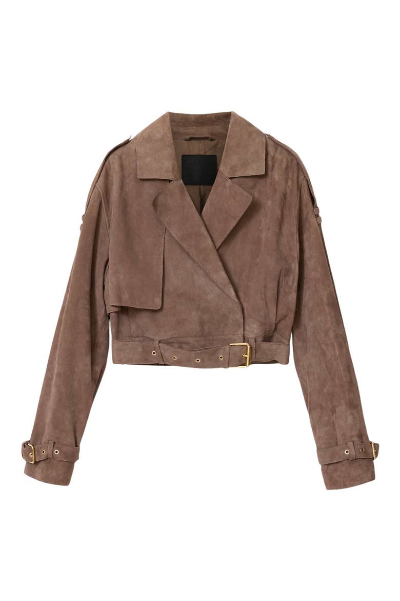 Ophelia Suede Jacket, Alternate, color, MOLE BROWN