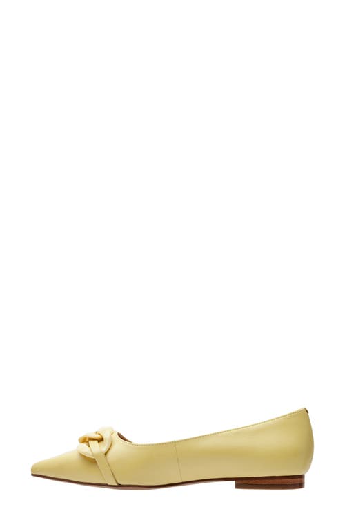 Linea Paolo Nora Pointed Toe Flat In Yellow