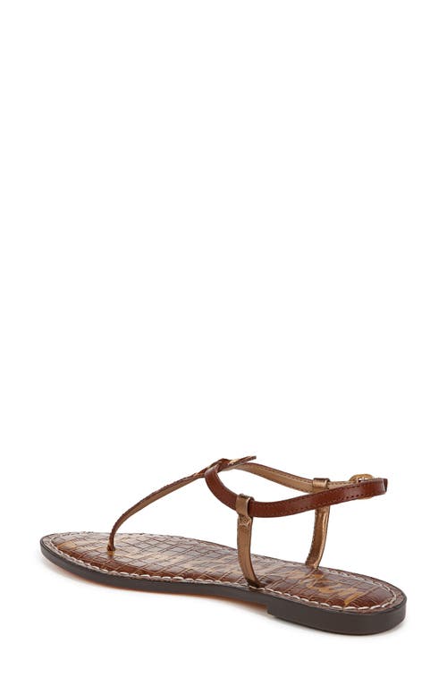 Sam Edelman Gigi Thong Sandal Beechwood Multi Leather In Beechwood Multi Calf Hair