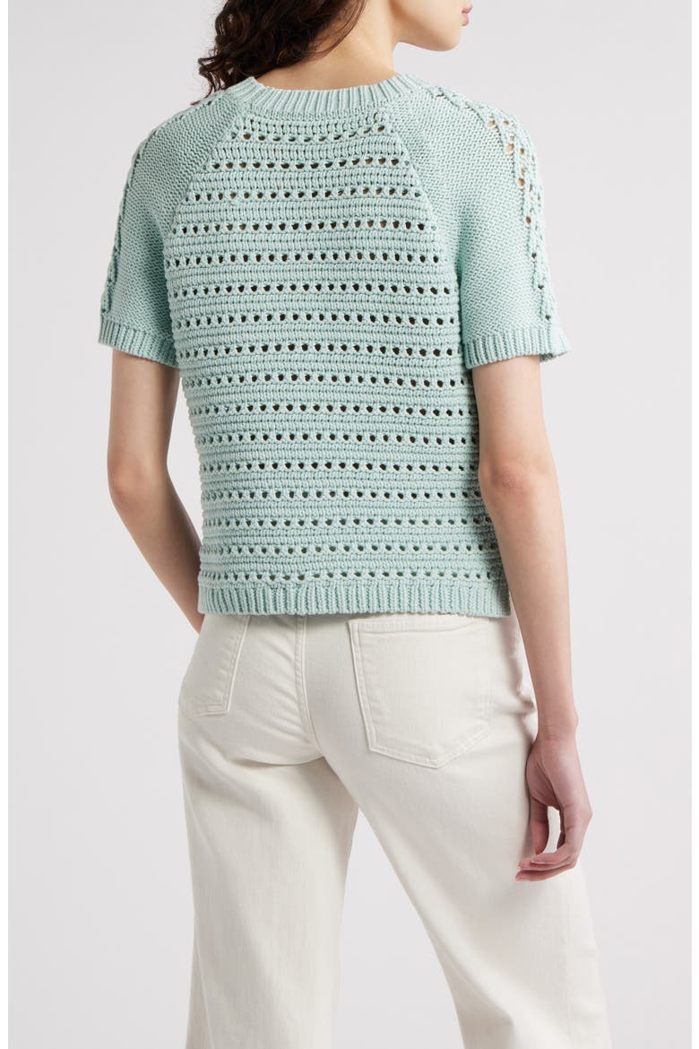 Pointelle Raglan Sleeve Sweater, Alternate, color, TEAL TIDE
