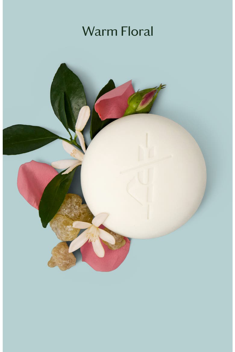 Daily Stone - Moisturizing Lotion Bar with Rose, Frankincense & Neroli, Alternate, color, STARTER KIT