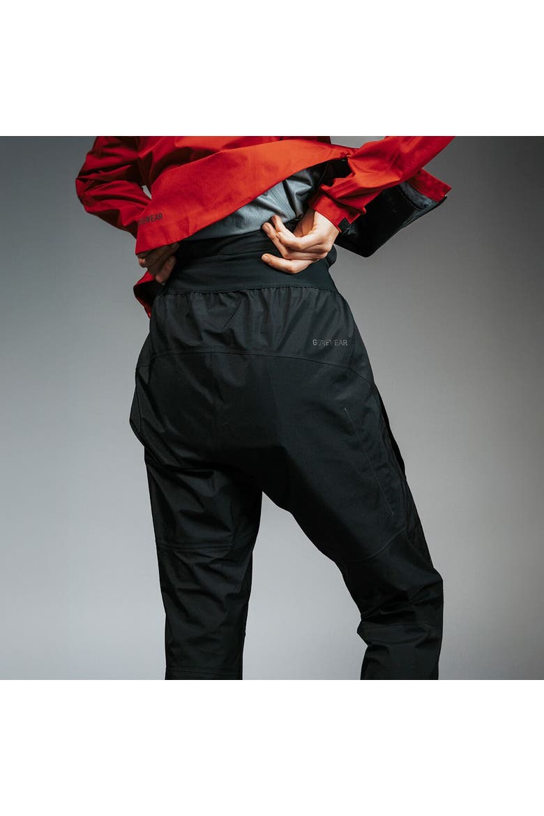 Lupra Gore-Tex Pant - Women's, Alternate, color, Black