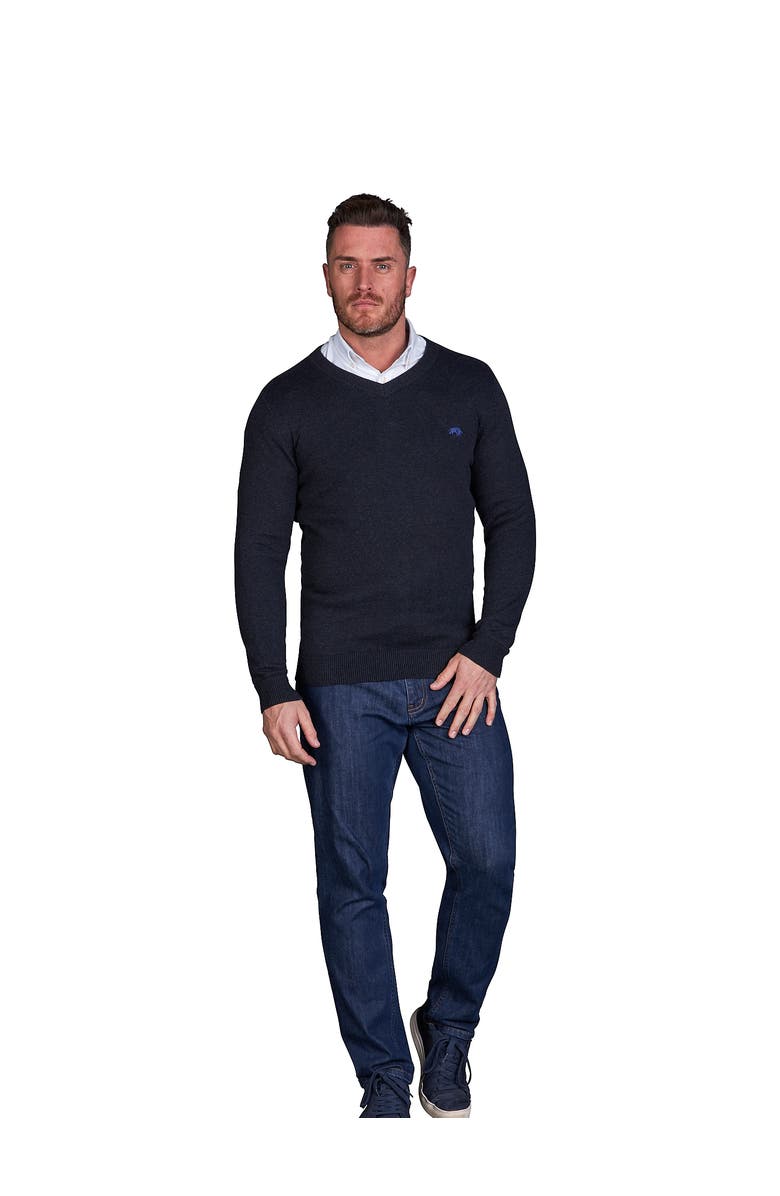 Raging Bull Classic V-Neck Sweater, Alternate, color, Black