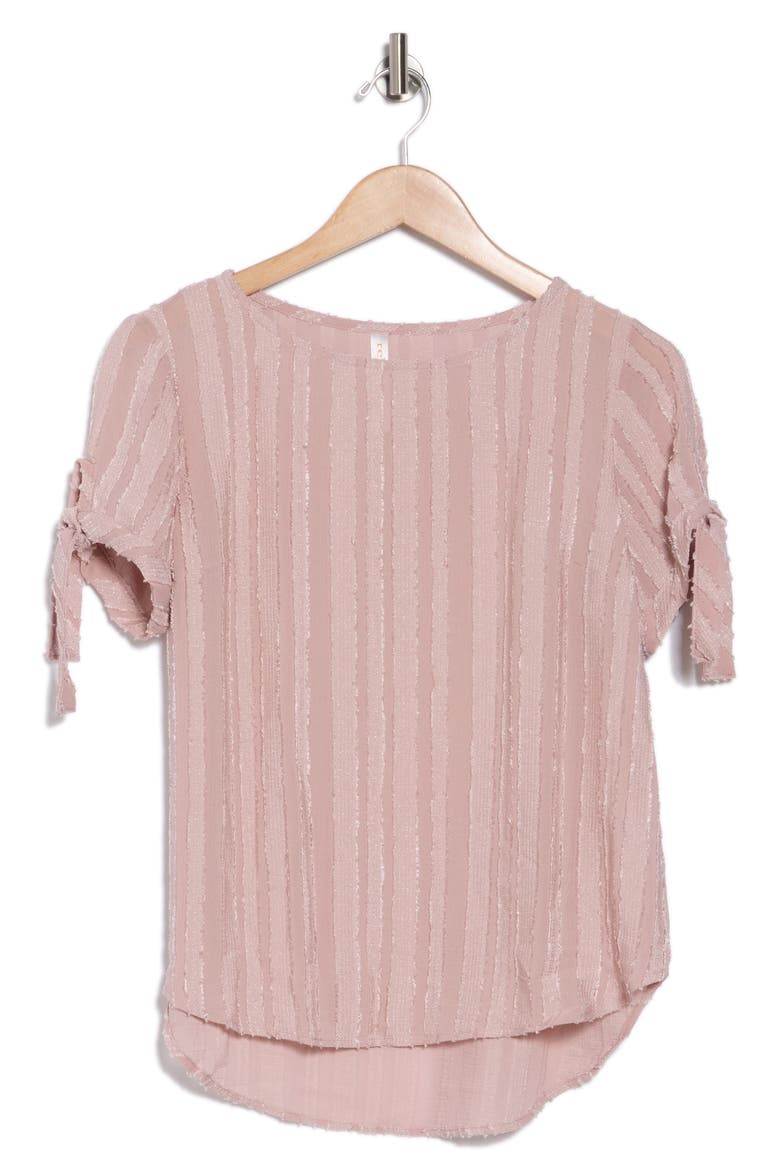 Semisheer Stripe Short Sleeve Top, Alternate, color, BLUSH