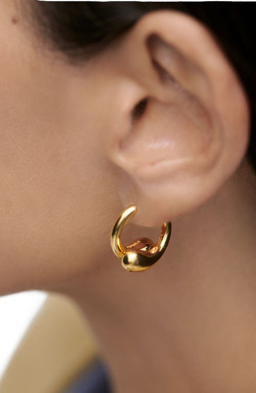 Pdpaola Loop Hoops In Gold