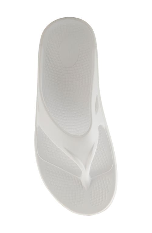 Flexus By Spring Step Osmar Flip Flop In White