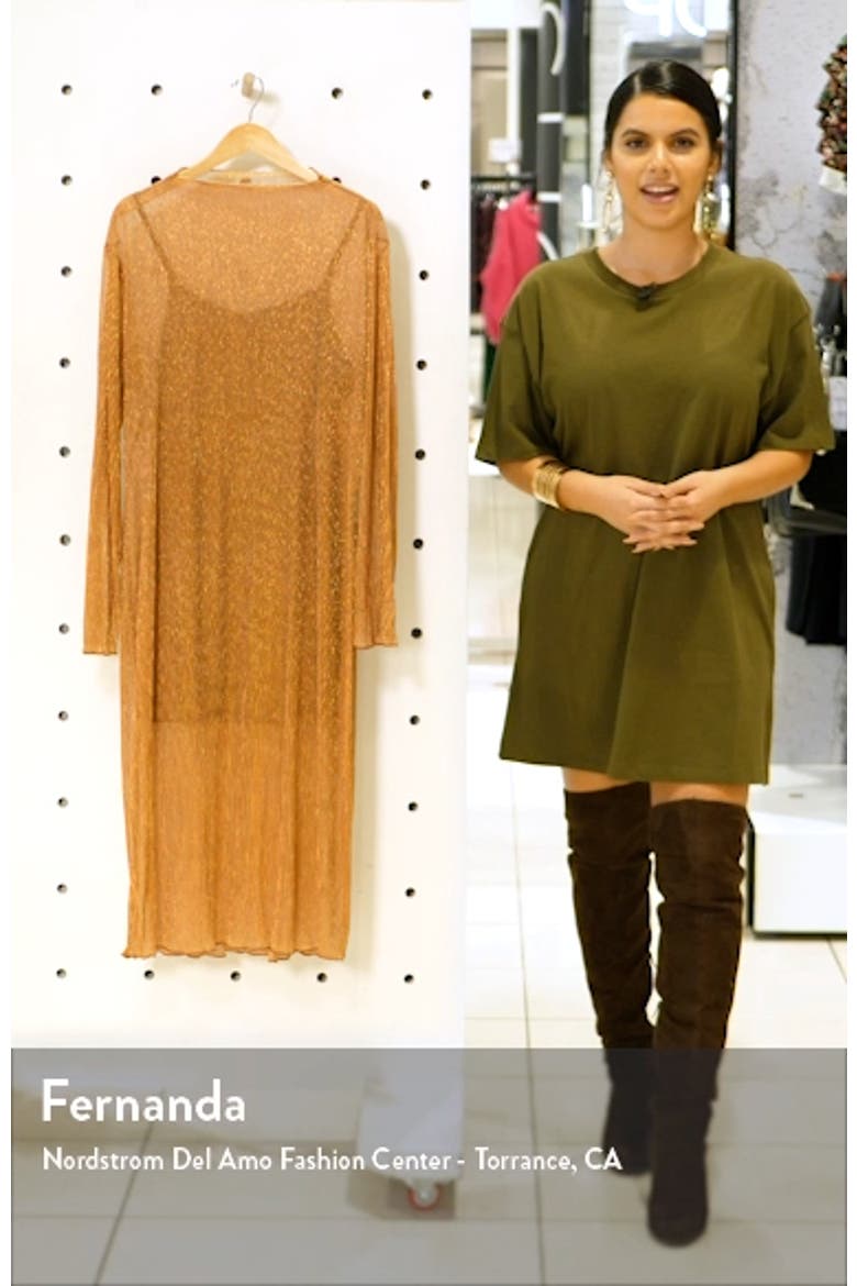 Sheer Long Sleeve Dress video