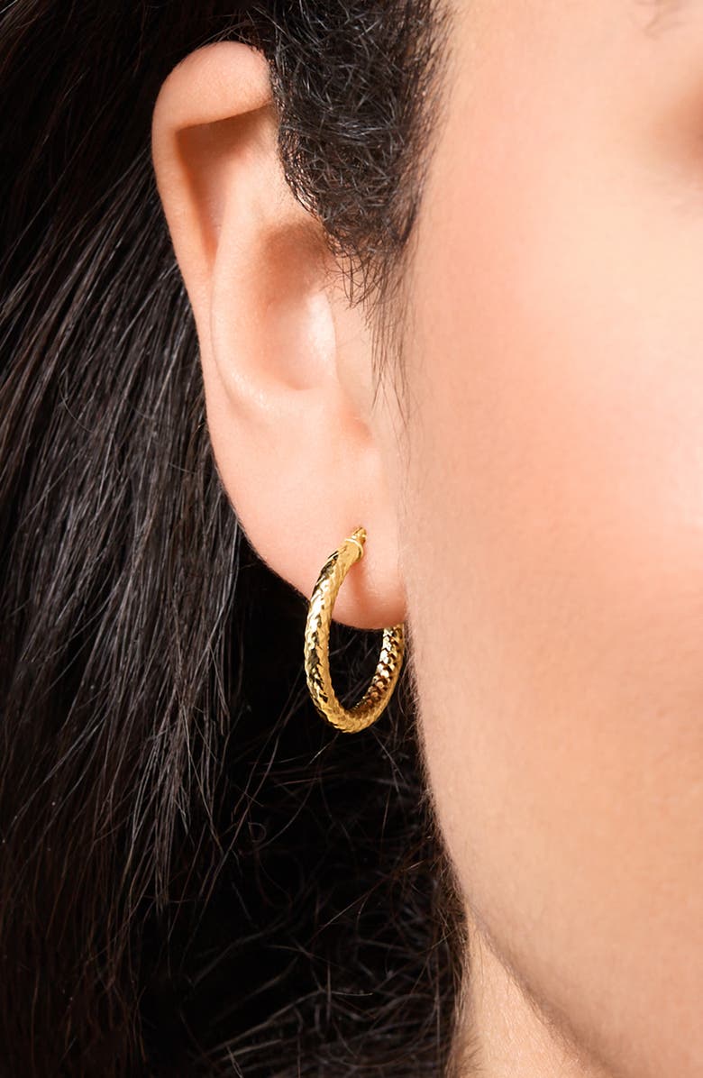 Bony Levy 14K Gold Hoop Earrings, Alternate, color, 14K Yellow Gold