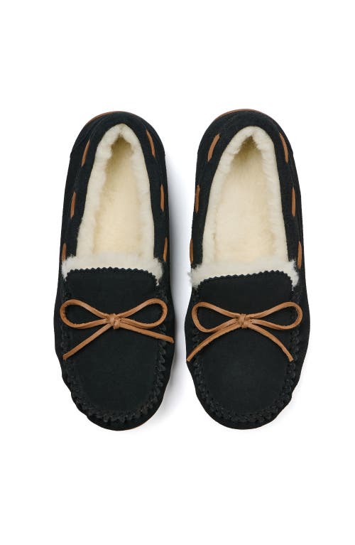 Abeo Amble Bow In Black - Metatarsal