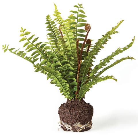Boston Fern Artificial Drop-In 11"