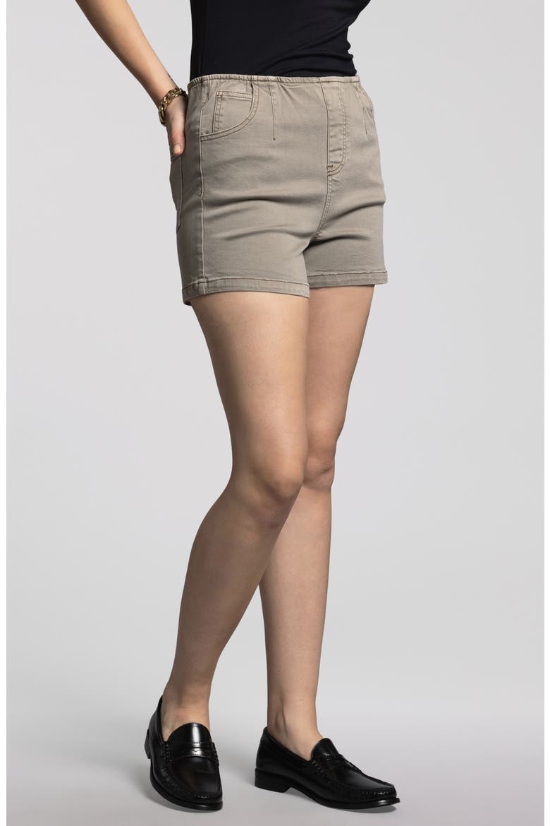 Manon Shorts, Alternate, color, BRINDLE